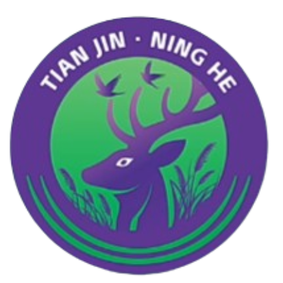 天津市宁河区盆罐庄村代表队