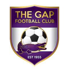 南查理斯顿布女足